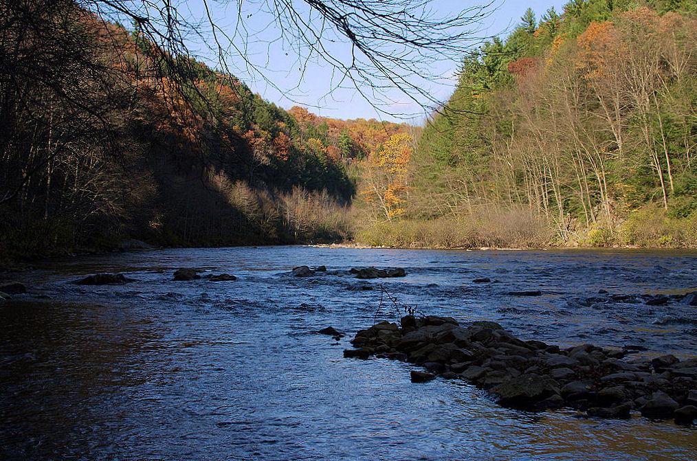 Nature in the Pocono Mountains